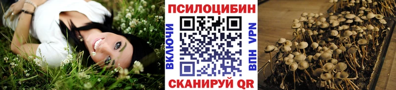 Галлюциногенные грибы Psilocybe  kraken ТОР  Киреевск 